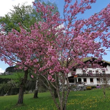 Sinsamreith, Familie Ensmann Villa Göstling an der Ybbs Buitenkant foto