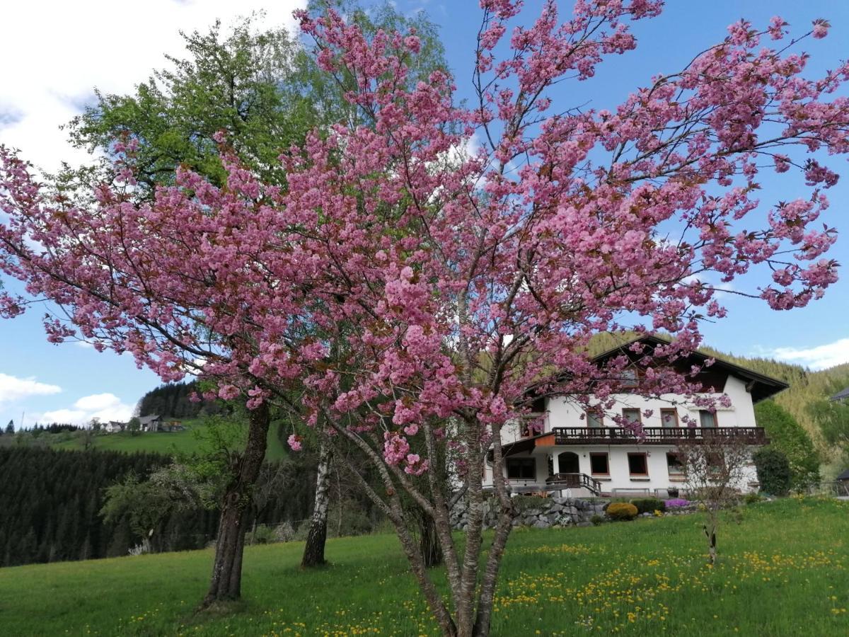 Sinsamreith, Familie Ensmann Villa Göstling an der Ybbs Buitenkant foto